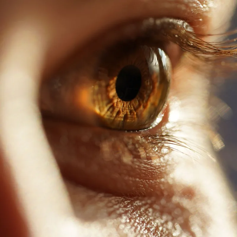 Gros plan sur un œil dans une lumière chaude : l'IMO travaille par les mouvements oculaires