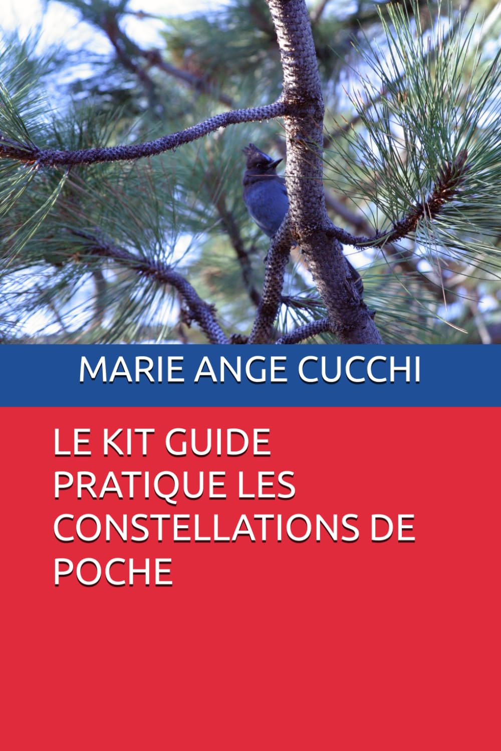 Couverture du Kit guide pratique des Constellations de poche